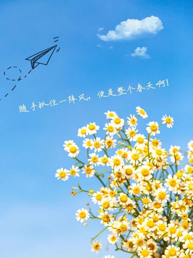 高端大气的早安图片(特别漂亮的早上好动态图片最新版)