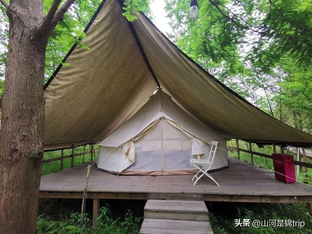 亲子游去哪里玩比较好，暑期亲子游（国内最具特色的十大亲子农场推荐）
