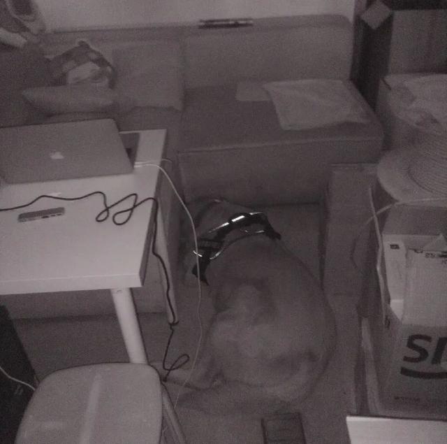 手机摄像头打不开，手机qq上摄像头打不开了怎么回事（一款货真价实的三防手机）