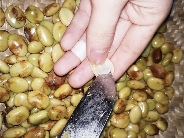 皂角米多少钱一斤，真正的皂角米多少钱一斤（能做糖水、洗衣、洗头）