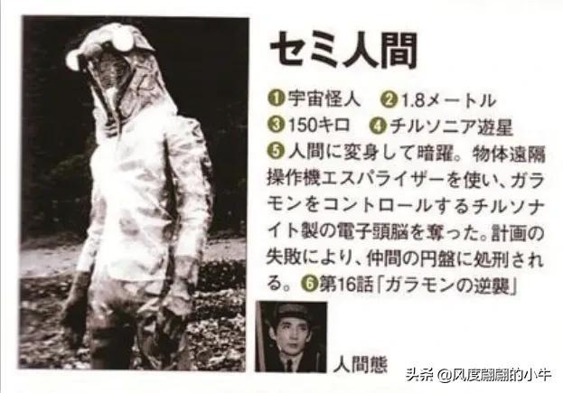 手q是什么意思，手Q是什么意思（奥特Q怪兽图鉴）