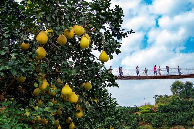 容县十大旅游景点，“以侨架桥”铺就特色旅游升级路