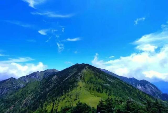 朱雀国家森林公园，陕西翠华山朱雀国家森林公园（玩转朱雀国家森林公园）