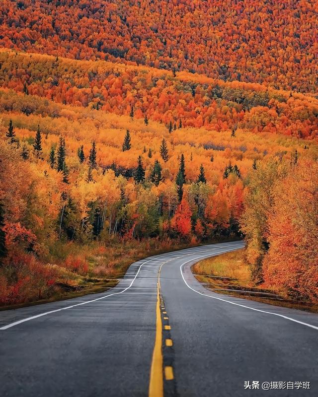 逆光是什么意思，拍摄逆光是什么意思（告诉你选对测光模式的重要性）