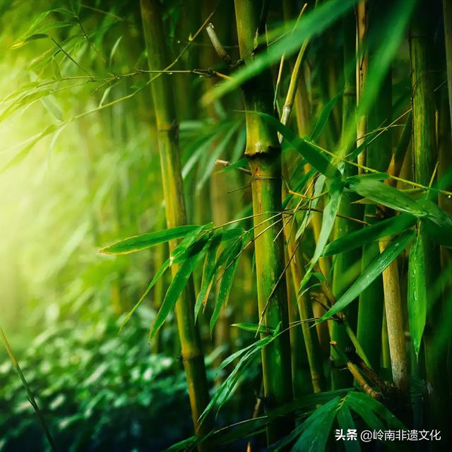 5月13日是什么节日，五月十三日是什么节日（中国传统节日—农历五月十三）