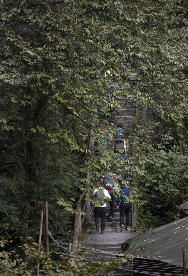 错峰徒步峨眉山，寻找另一种秋日打卡方式