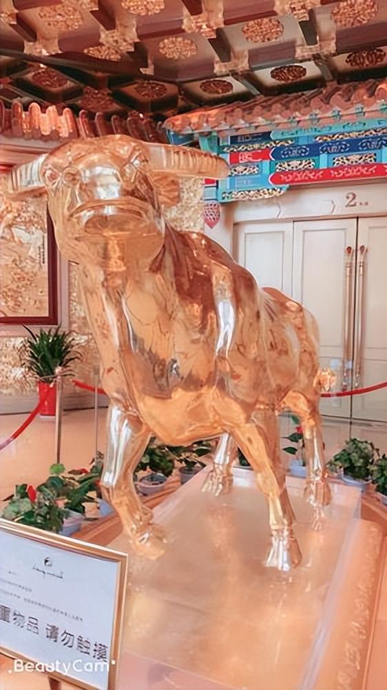 全国第一村的华西村，价值3个亿的金牛太霸气了，带大家看看