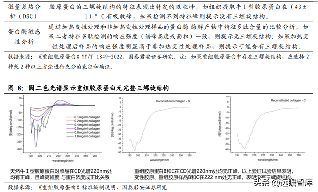 三型胶原蛋白导入危害，三型胶原蛋白导入的效果维持多长时间（析胶原产业链机理）