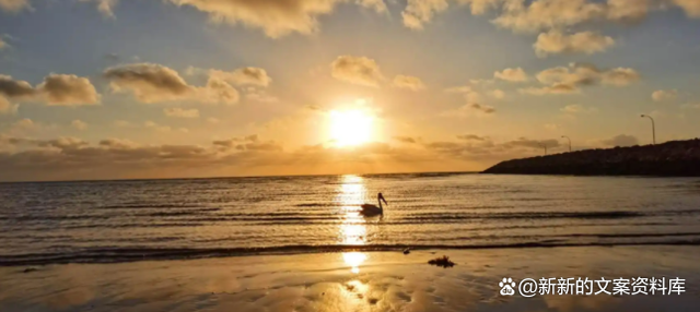 关于做个三观正的人的句子，三观很正的经典句子（三观超正超干净的文案）