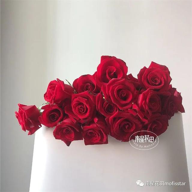 七朵玫瑰代表什么，最常见的红玫瑰（四朵玫瑰花是什么意思）