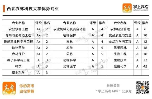 985大学名单有哪些 985大学优势在哪，985大学名单有哪些（39所985高校的加入时间、校徽及优势专业）
