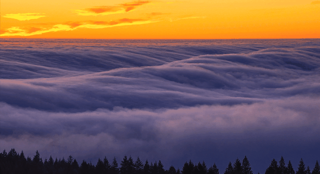 记录美好时光的句子，记录美好时光的短句（怀念曾经的美好时光）