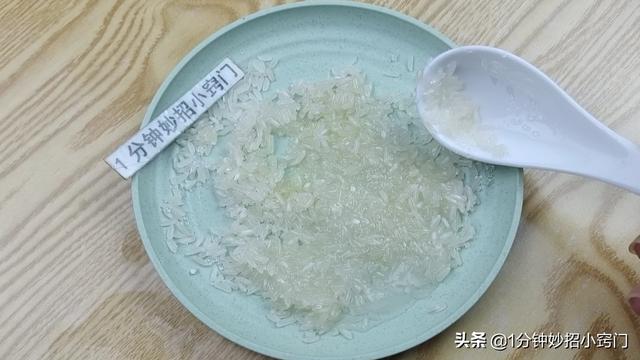 家里进老鼠了应该怎么办，家里进老鼠了怎么办（家里出现老鼠不要慌）