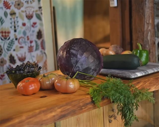 太阳能小屋设计，别墅低成本装修风格（夫妻俩买下田园小木屋）