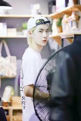 洛阳白牡丹——王一博，为什么叫王一博洛阳白牡丹（洛阳白牡丹—王一博图片）