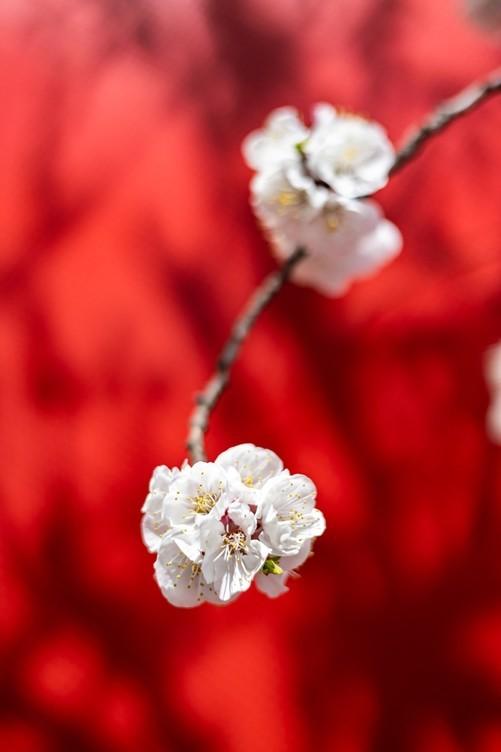 相机参数知识普及，相机拍摄参数知识普及（10499元全能表现的入门级全画幅相机）