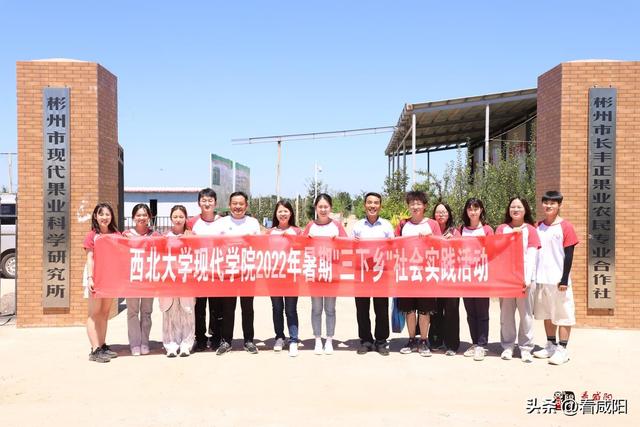 西北大学现代学院，西北大学现代学院是985大学还是211大学（用青春力量助力乡村振兴）