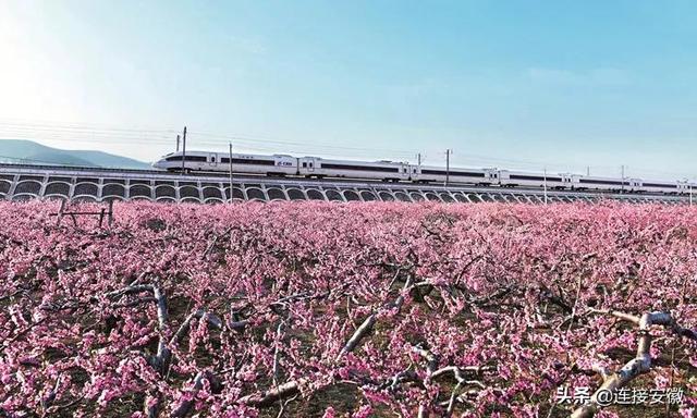 宿州属于哪个市，宿州是哪个省的城市（宿州，扬帆起“杭”）
