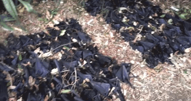 又霸气又高冷的图片 在这座欲望的城市，你是我最后的信仰，又霸气又高冷的图片带字（灾难成现实才知道后悔）