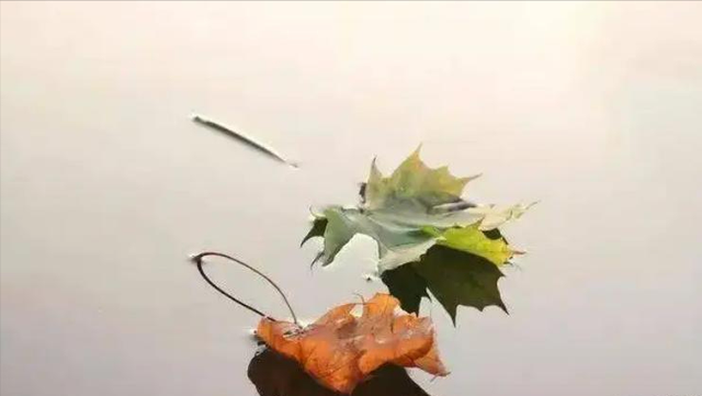 朋友不想搭理你的表现，好朋友疏远你的表现（打心底里瞧不起你）