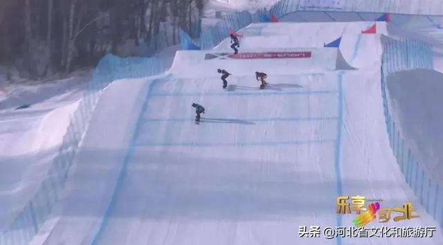 河北省体育学院，2021河北体育学院排名（2022冬奥河北系列报道）