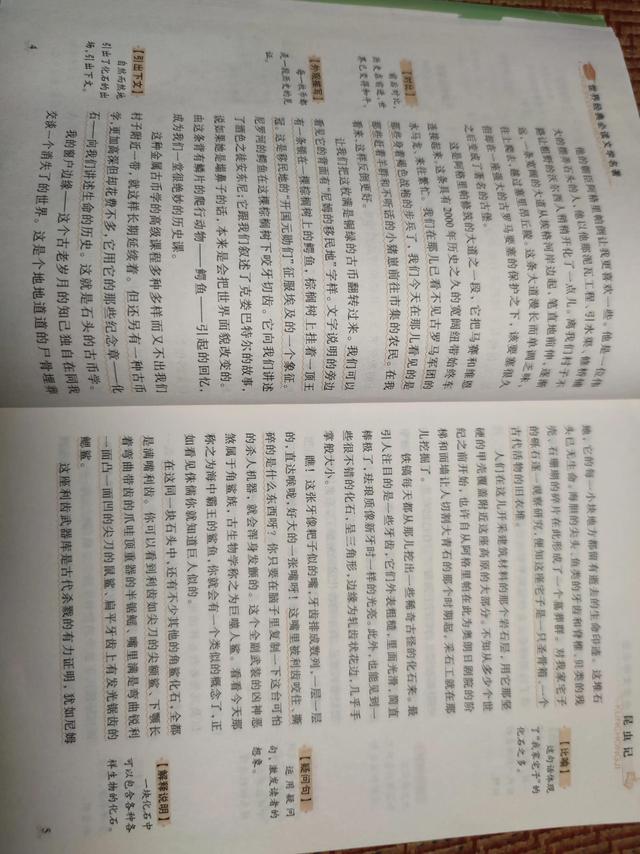 老象虫的外形特点，老象虫外表有何特点（一起读书——《昆虫记》）