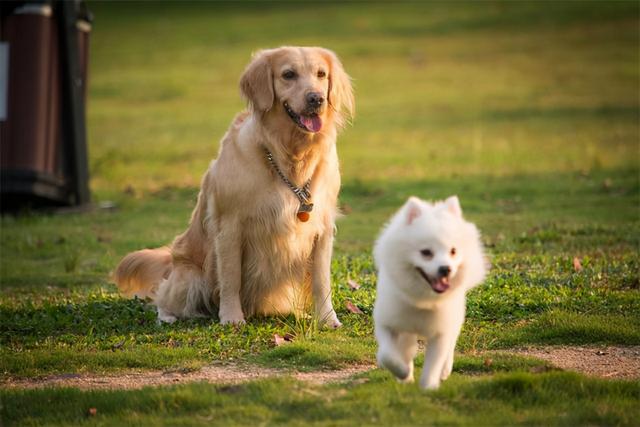 关于自律与自由的句子，自律什么自由一句话（让自己朝着正确的方向前进）