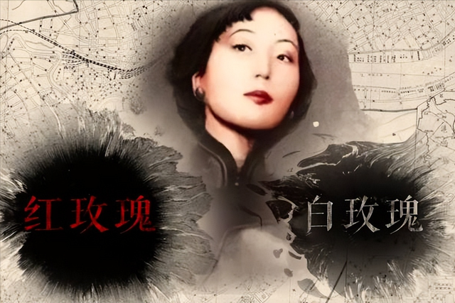 白玫瑰与红玫瑰，白玫瑰和红玫瑰的区别（《红玫瑰与白玫瑰》）