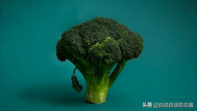 小龙虾属于海鲜类吗，小龙虾是海鲜吗（龙虾：从小龙虾到大花龙）