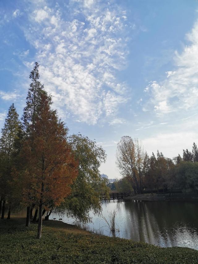 平顶山山顶公园，平顶山雨天适合玩的地方（平顶山市因山而名）