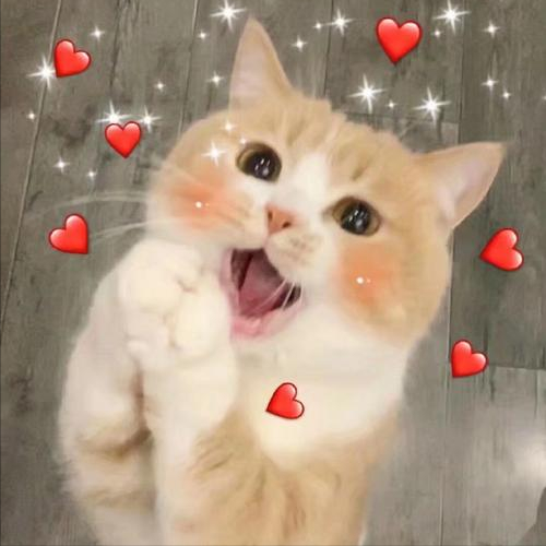 猫喜欢吃什么蔬菜，小猫喜欢吃什么蔬菜（简直就是“人间美味”）