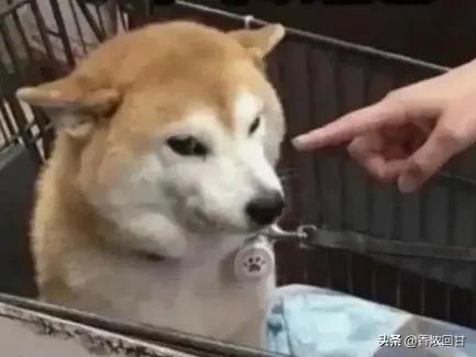 世界第一台计算机的名称叫什么，世界第一台计算机的名称叫什么（<埃尼阿克>在美国宾夕法尼亚大学诞生）