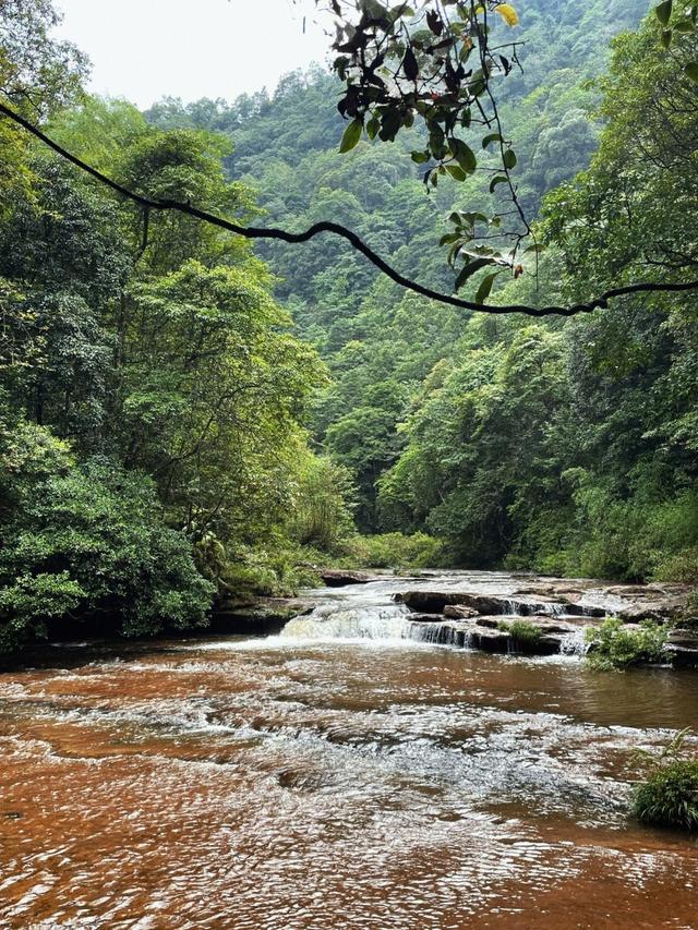 泸州古蔺县旅游景点，泸州当地好玩的10大景点