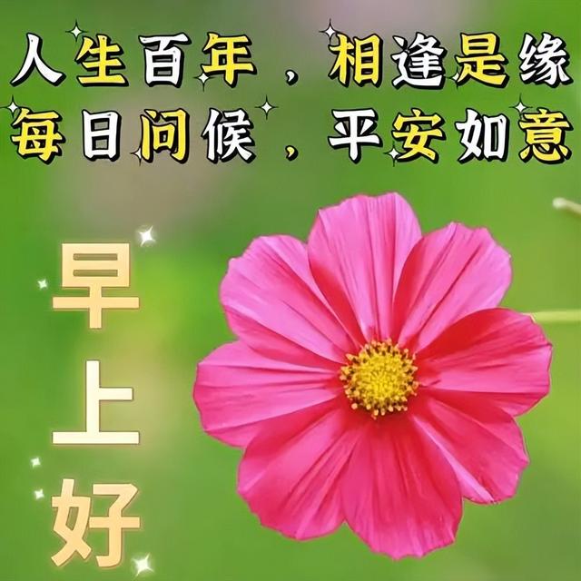 早上好的表情包，早上好表情图大全带字（最新的漂亮早上好问候表情图片）