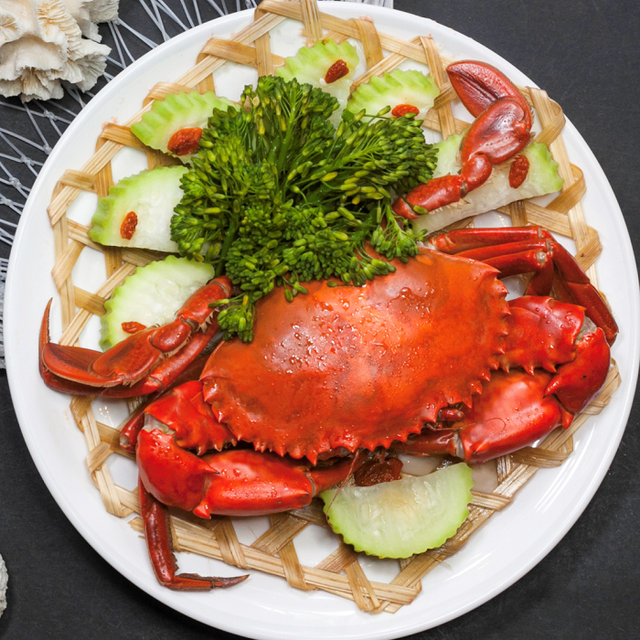 烤泥鱼食谱在哪买，魔兽世界外域食谱（品尝最具越南特色的金瓯特色美食）