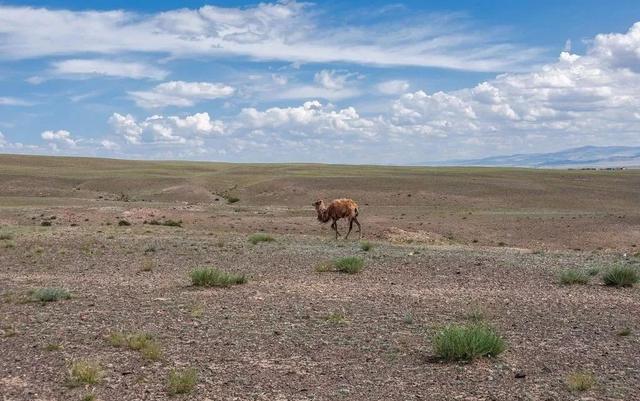 原子城位于哪个省，核试验的原子城位于哪个省（地图上被彻底抹去）