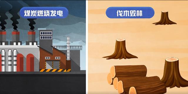 碳源碳汇什么意思，科普动画丨碳源、碳汇是什么