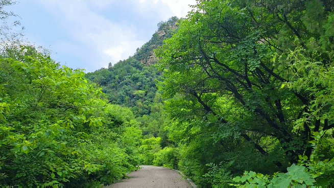 厦门龙洞风景区，厦门龙洞风景区门票多少（厦门龙洞：罕见的峡谷地貌）