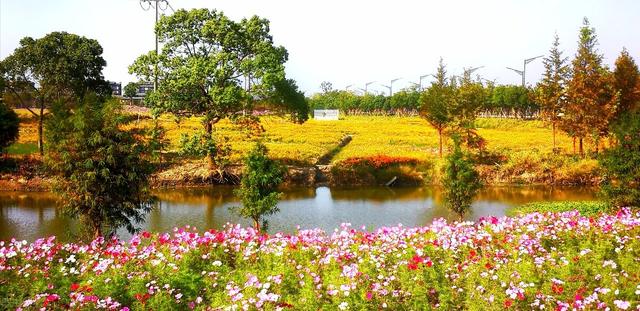 乌镇有不需要门票的景点吗，到桐乡4个小众免费打卡地慢生活