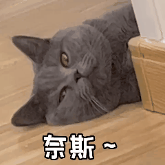 微信动图怎么制作，怎么制作微信表情之动图（GIF动图微信表情包制作教程）