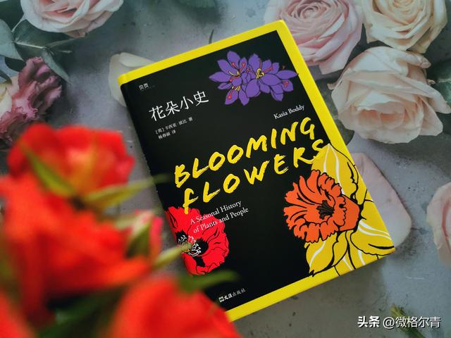 玫瑰的花语和它的传说，玫瑰的花语和它的传说有关（花朵在人类文明中的历史故事）