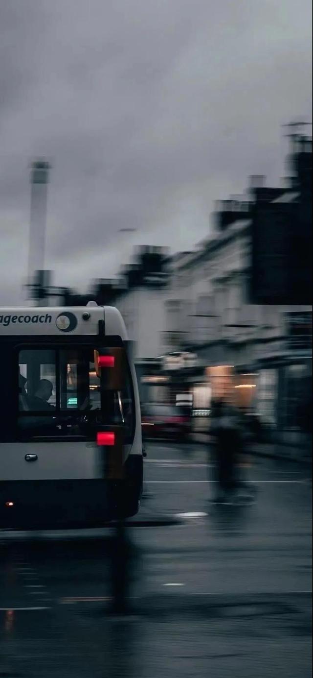 另一种灿烂人生，失恋后活出了另一种灿烂人生的星座（壁纸，灿烂人生）