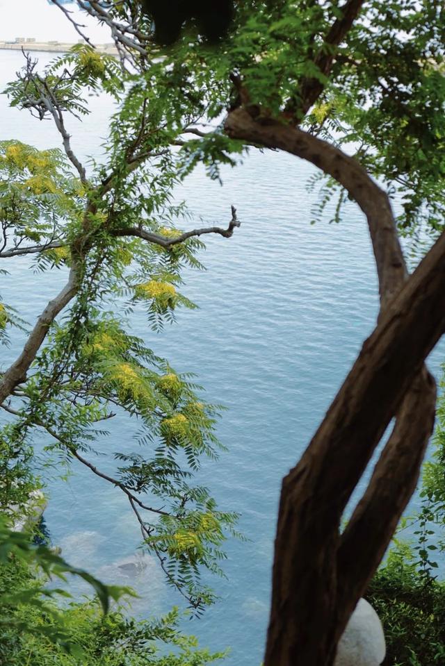 烟台自由行攻略，烟台旅游攻略自由行（这座低调的海滨城市）