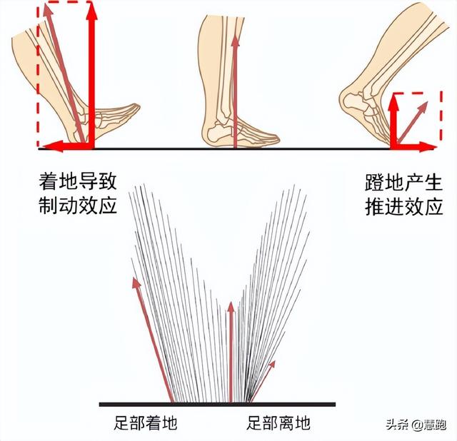 长跑训练注意事项，短跑训练注意事项（跑者常常忽视这三个部位的训练）