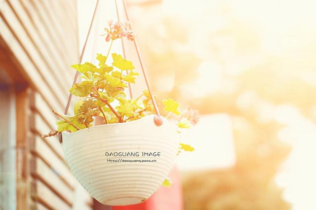 白衣天使的唯美句子，白衣天使的赞美词（医护人员抗击疫情正能量句子）