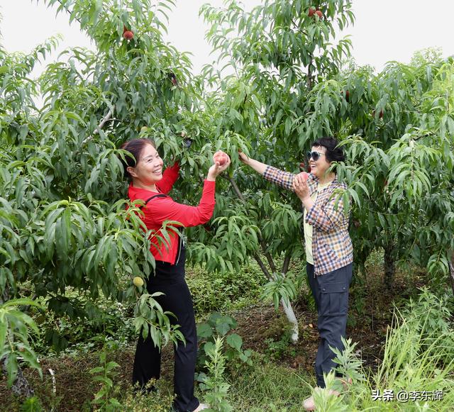 同学聚会说说幽默短句，同学聚会搞笑短句（快乐时光总是那么美好）