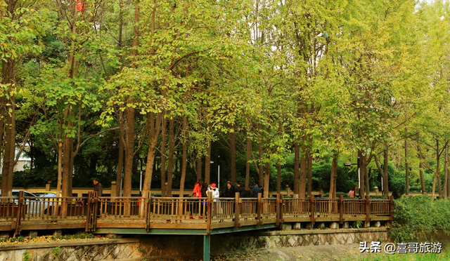浙江缙云旅游有哪些景点，浙江缙云风景区（浙江丽水市缙云县值得游玩的旅游景点有哪些）