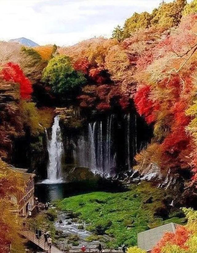 秋天是一个什么样的季节，秋天是一个什么样的季节写一段话（分享绝美秋色：叠翠流金）