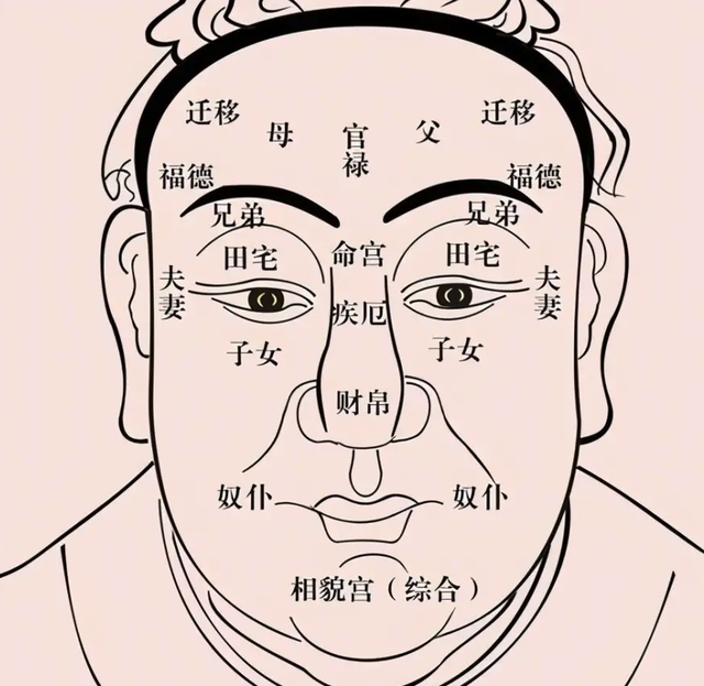 紧接着到第二位:阁下三庭饱满,长相周正,五官平和,像您这样面相俊美
