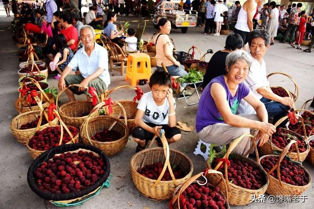 杨梅用洗嘛，杨梅用不用洗（别只会用盐水泡）